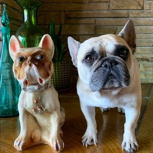 Meet your Posher, Kim